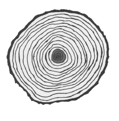 Опасная книга для мальчиков. Классно! Невозможно оторваться! - i_020.png