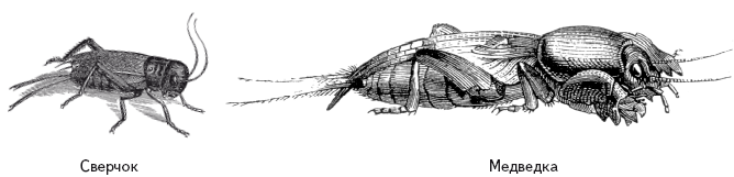 Опасная книга для мальчиков. Классно! Невозможно оторваться! - i_110.png