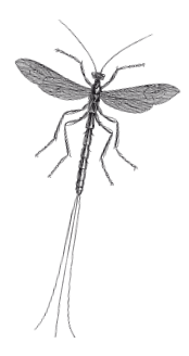 Опасная книга для мальчиков. Классно! Невозможно оторваться! - i_111.png