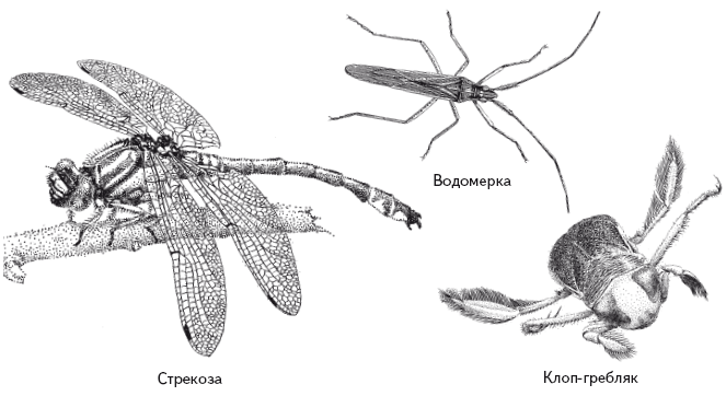 Опасная книга для мальчиков. Классно! Невозможно оторваться! - i_112.png