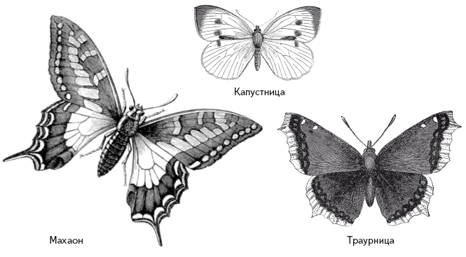 Опасная книга для мальчиков. Классно! Невозможно оторваться! - i_113.png