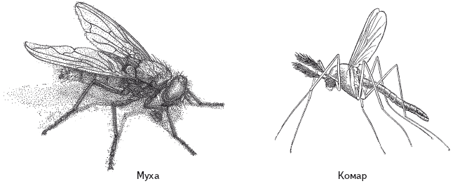 Опасная книга для мальчиков. Классно! Невозможно оторваться! - i_117.png