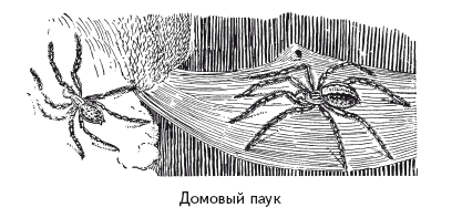 Опасная книга для мальчиков. Классно! Невозможно оторваться! - i_118.png