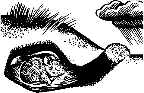 Сам себе синоптик - nonjpegpng_i_030.png