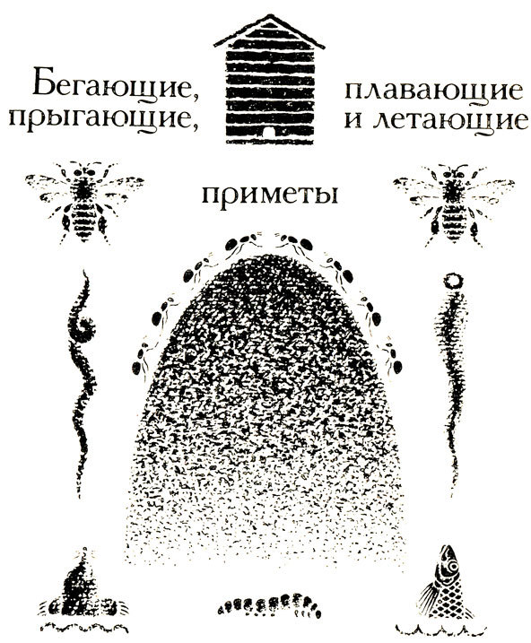 Тринадцать черных кошек - _64.jpg