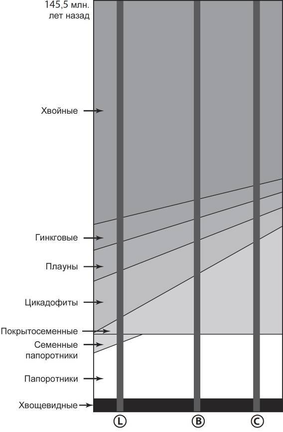 Кто кусал динозавров? - _11.jpg