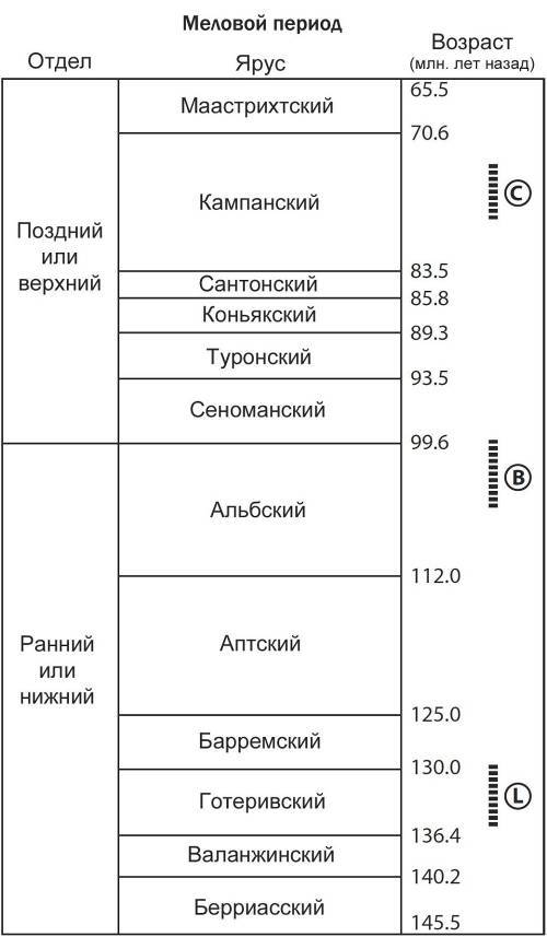 Кто кусал динозавров? - _3.jpg