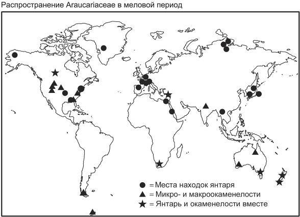 Кто кусал динозавров? - _6.jpg