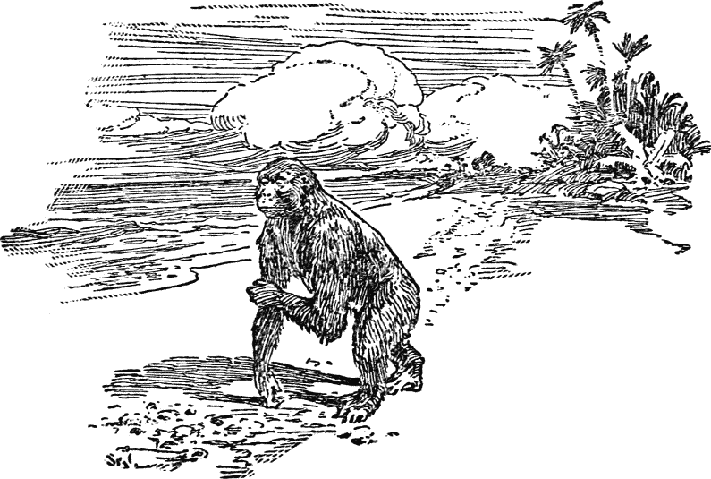 Тарзан из племени обезьян. Возвращение Тарзана. Тарзан и его звери (сборник) - _039.png