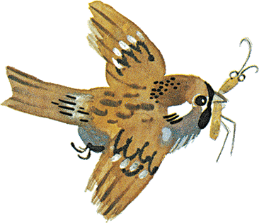 Случай с Евсейкой - i_003.png