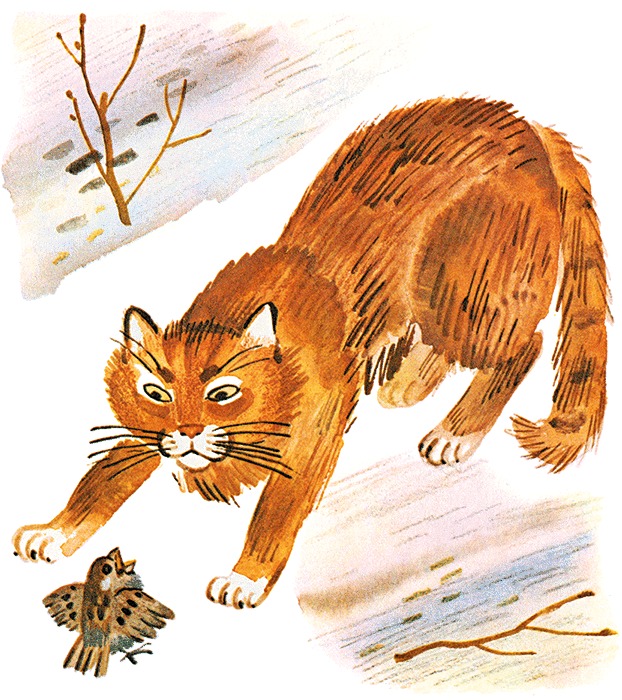 Случай с Евсейкой - i_008.png