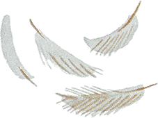 Случай с Евсейкой - i_010.png