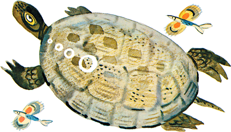 Случай с Евсейкой - i_013.png