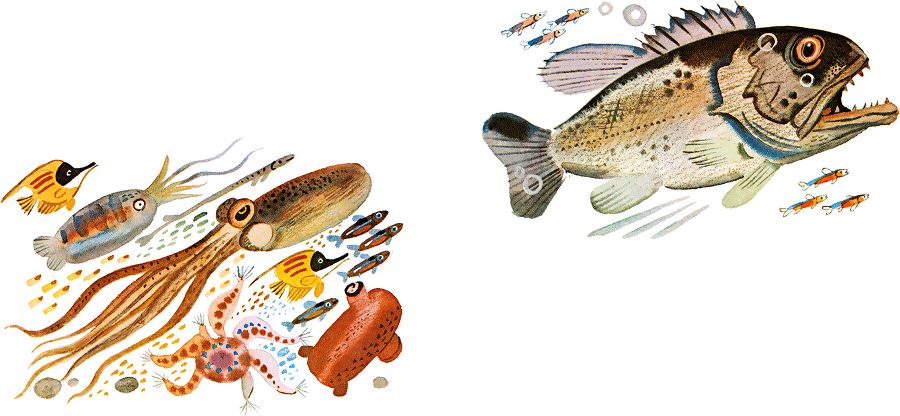 Случай с Евсейкой - i_014.png