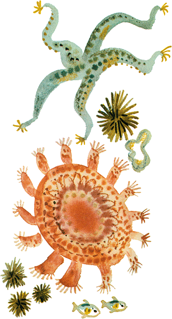 Случай с Евсейкой - i_017.png