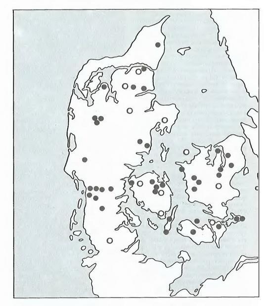 Славяне и скандинавы - _60.jpg