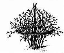 2000 советов для неумелых рук - _810.jpg