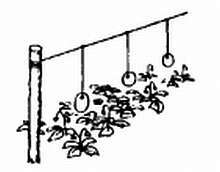 2000 советов для неумелых рук - _813.jpg