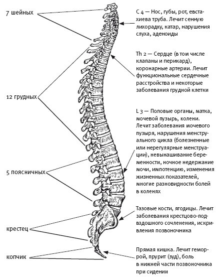 Ни кошелька, ни жизни. Нетрадиционная медицина под следствием - i_016.jpg