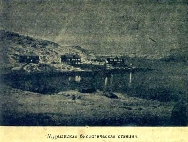 Арктика - i_007.jpg