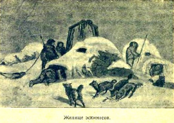 Арктика - i_019.jpg