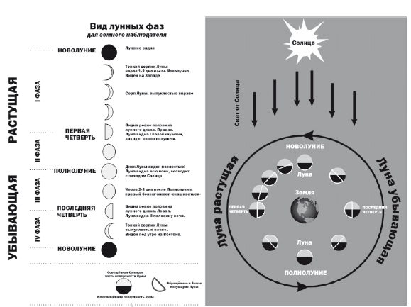 Энергия здоровья. Кулинарная книга астролога - i_078.png