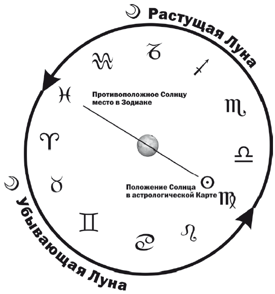 Энергия здоровья. Кулинарная книга астролога - i_079.png