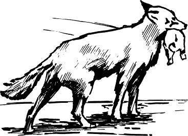 Все из ничего - _18.jpg