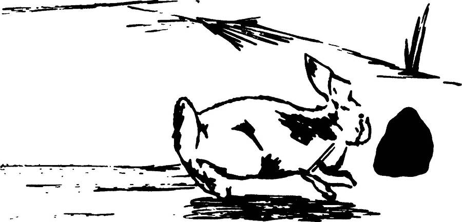 Все из ничего - _19.jpg