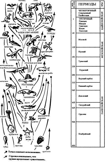 Все из ничего - _43.jpg