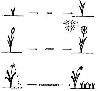 Все из ничего - _7.jpg