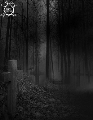 Убить Рудольфа - _3.6.jpg_2