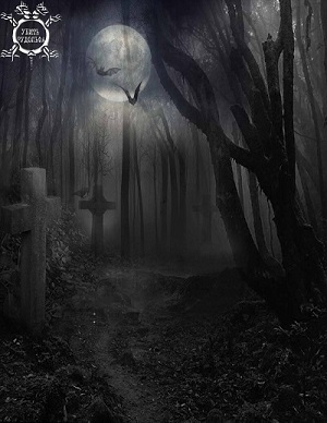 Убить Рудольфа - _3.7.jpg_2