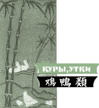 Двести пятьдесят блюд китайской кухни - i_157.png