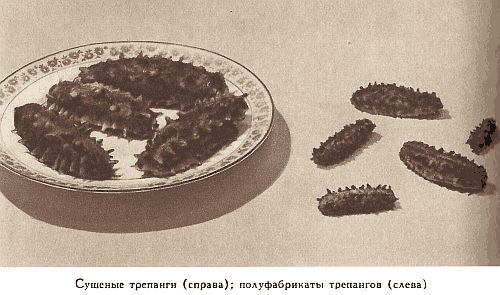 Двести пятьдесят блюд китайской кухни - i_328.png