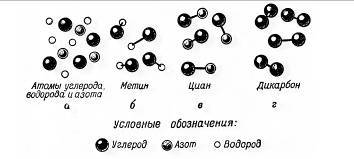 Происхождение жизни - _13.jpg