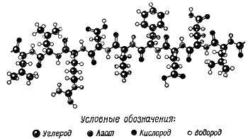 Происхождение жизни - _25.jpg