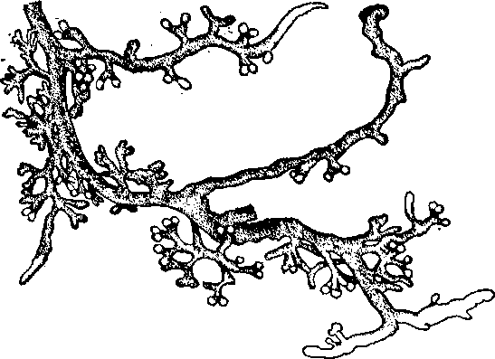 За порогом вражды - i_069.png