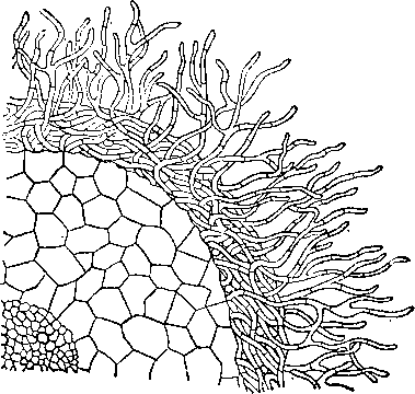 За порогом вражды - i_070.png
