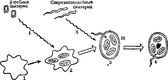 За порогом вражды - i_090.png