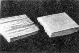 Причудливые деревья - _341.jpg