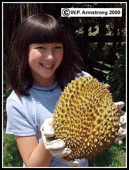 Причудливые деревья - _123.jpg