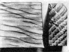 Причудливые деревья - _345.jpg