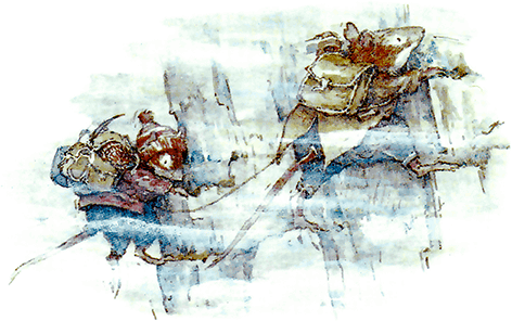 Сказки и истории Ежевичной поляны (сборник) - i_143.png