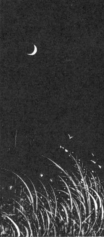 Струна звенит в тумане... - i_017.jpg