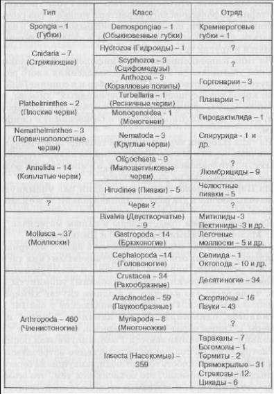 Беспозвоночные в мифологии, фольклоре и искусстве - _54.jpg