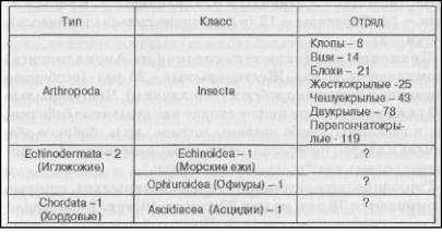 Беспозвоночные в мифологии, фольклоре и искусстве - _55.jpg