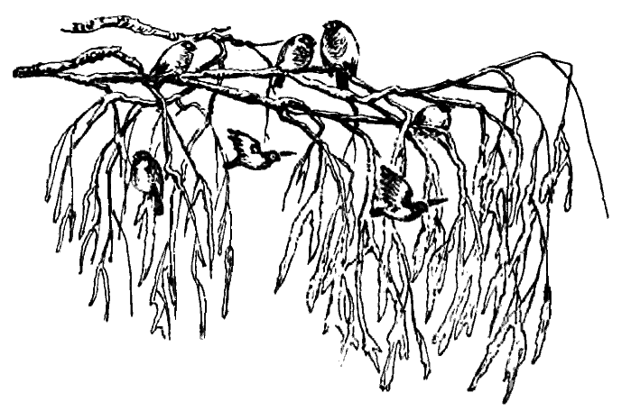 Литературно-художественный альманах «Дружба», № 4 - i_031.png