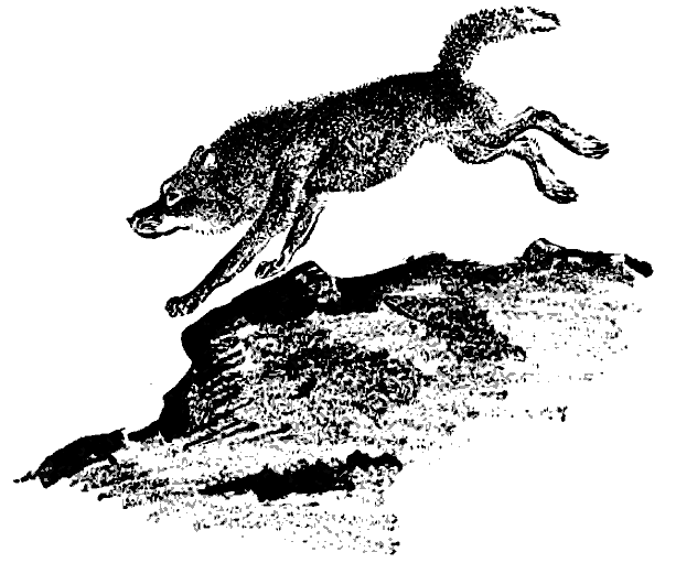 Литературно-художественный альманах «Дружба», № 4 - i_074.png