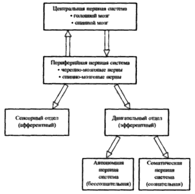 Пранаяма. Сознательный способ дыхания. - book6.png